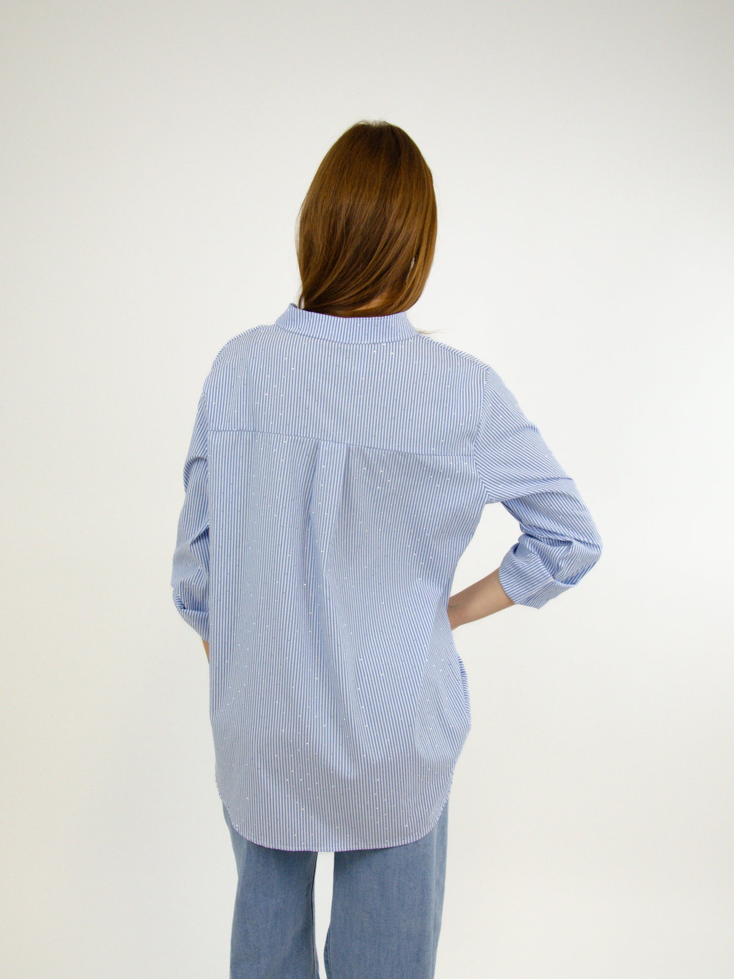 Camicia rigata con brilli